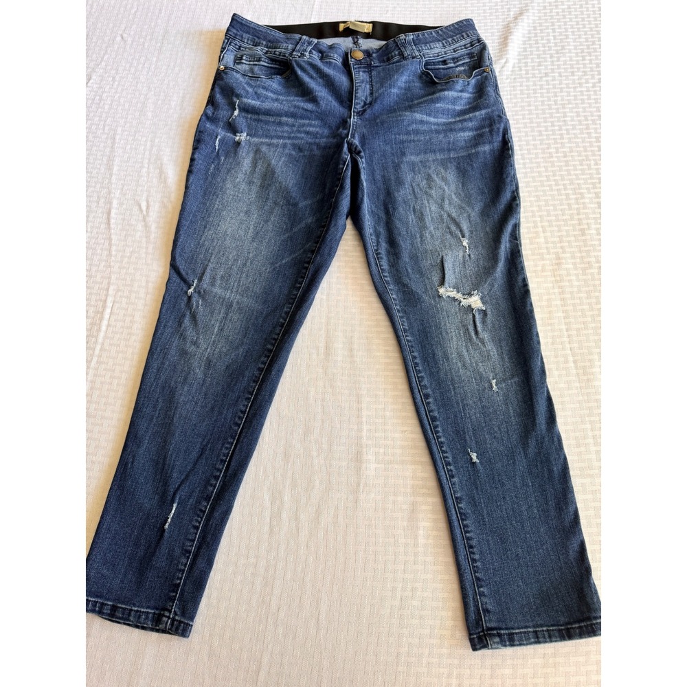 Democracy Ab Solution Skinny Jeans Distressed Blue Denim Plus Size 18W